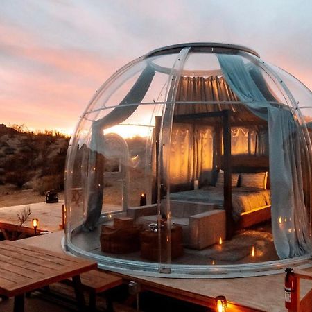 Jthavn-Joshua Tree Remote Dessert Bubble Dome エクステリア 写真