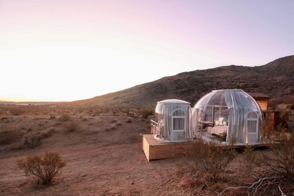 Jthavn-Joshua Tree Remote Dessert Bubble Dome エクステリア 写真