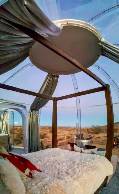 Jthavn-Joshua Tree Remote Dessert Bubble Dome エクステリア 写真