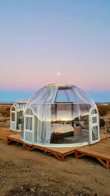 Jthavn-Joshua Tree Remote Dessert Bubble Dome エクステリア 写真